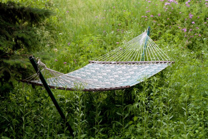 Hammock in a field