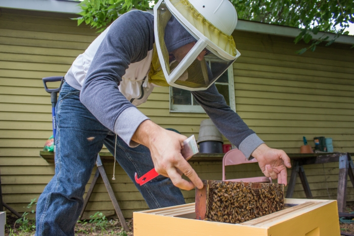 beekeeper