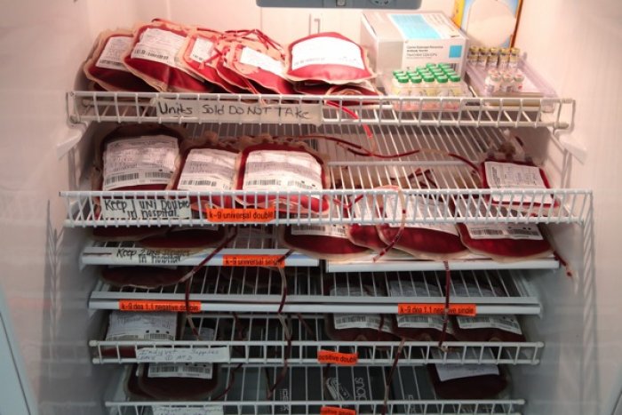 The blood is labeled and refrigerated. Packed red blood cells have a shelf life of 42 days, and the plasma can be stored for five years. (Photo by Steve C. Mitchell)
