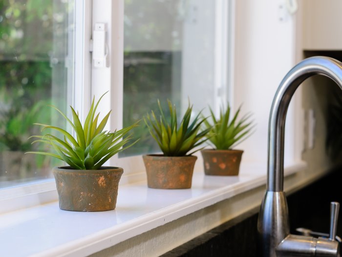 house plants three small plants on window sill