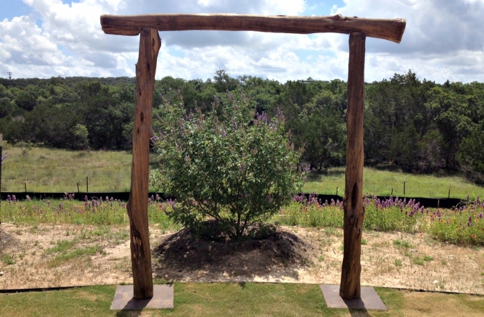 Outdoor shrub framed by timber