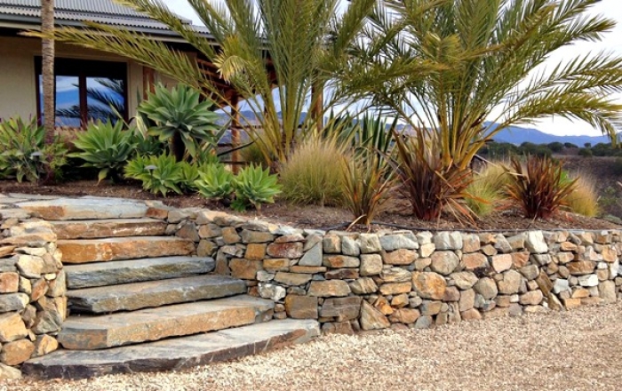 landscaped desert lawn