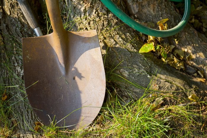 gardening shovel and hose