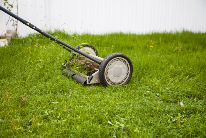 manual lawn mower