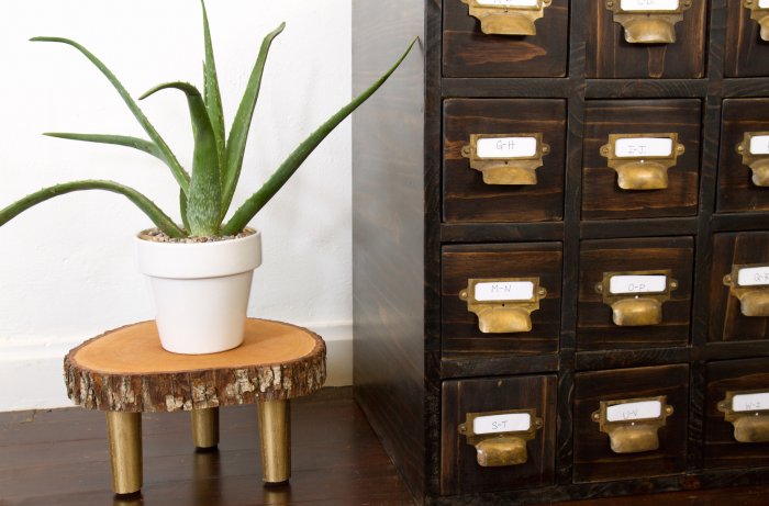 DIY tree slice plant stand