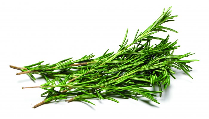 sprigs of rosemary