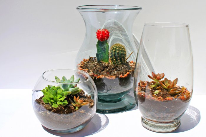 DIY terrarium