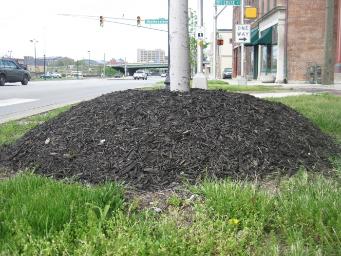 Mulch pile at tree base