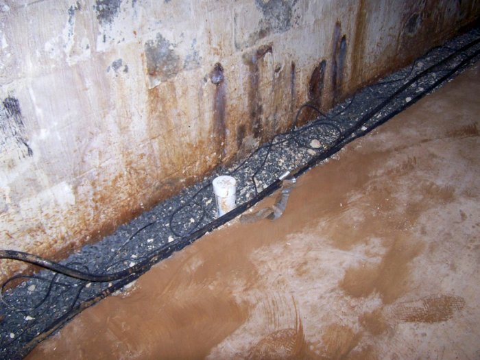 home inspection water damage