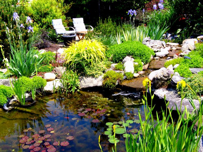 Add visual depth to your pond with vertical, horizontal and underwater plants. (Photo courtesy of Andrea_44 via Flickr.com)