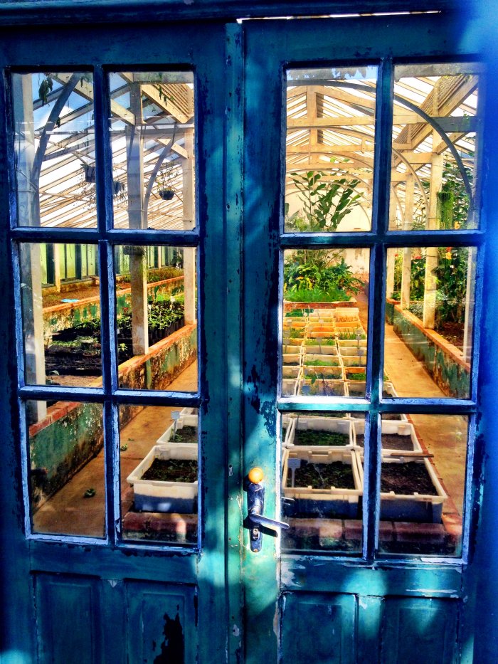 10 Great Greenhouse Ideas for your Yard Angie's List