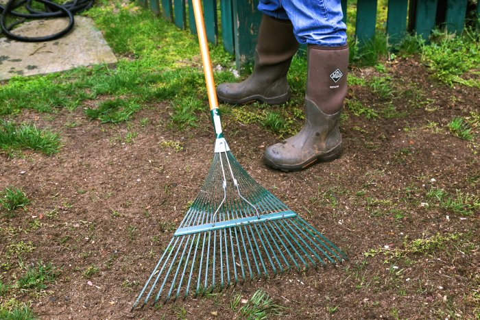 Rake out any dead grass, stones, sticks and weeds before reseeding. (Photo courtesy of Melissa Caughey/Tilly's Nest)
