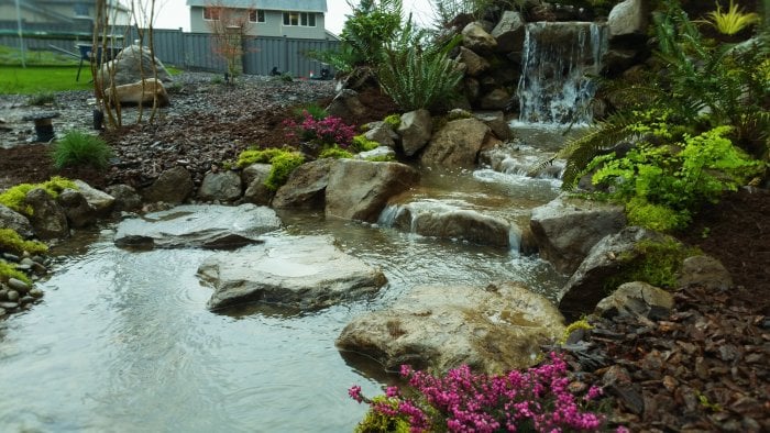 Backyard pond and waterfall by Affordable Ponds