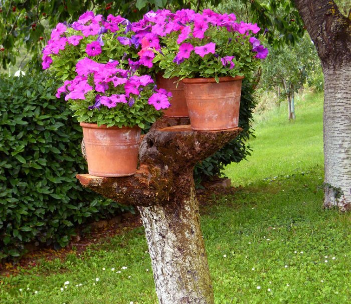 Tree stump with flower pots