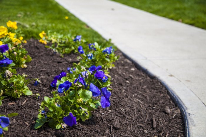 What's the Best Mulch for Yards? | Angie's List