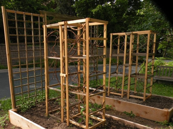 Grow vining plants in your raised garden bed with some lattices or tomato cages. (Photo courtesy of Angie's List member Marisha C.)