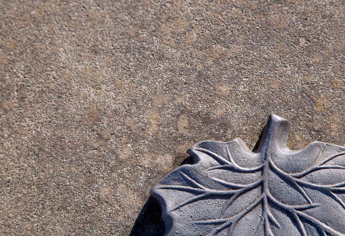 Create stepping stones that look like leaves. (Photo courtesy of Pixabay)