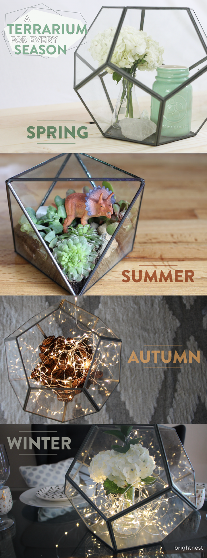 seaonal terrariums seaonal terrariums