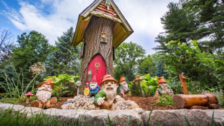 Garden gnomes in a backyard garden