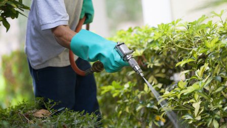 pest control chemicals (Photo by Getty Images)