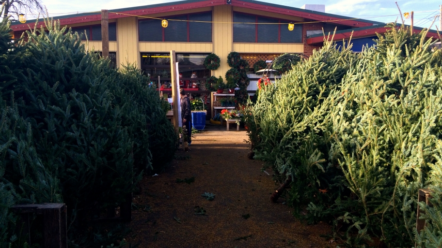 how to recycle your christmas tree in chicago angie s list how to recycle your christmas tree in chicago angie s list