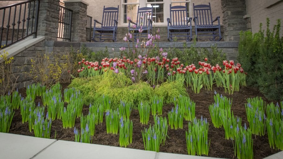 Display landscape