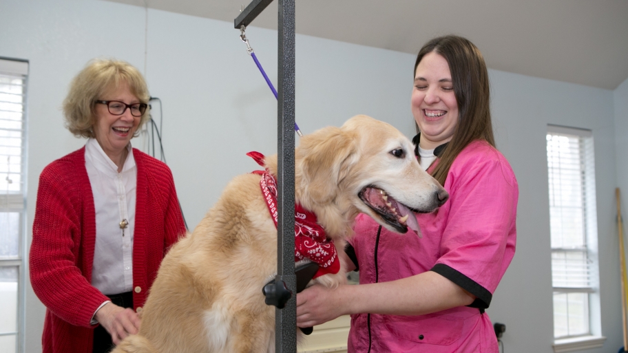 Texas Dog Groomer Earns Customer for Life Angie's List