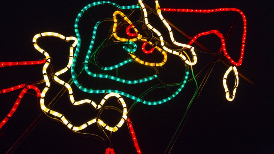 Grinch christmas lights