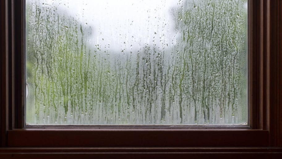 Condensation Inside Windows New Home Condensation Inside Windows New Home