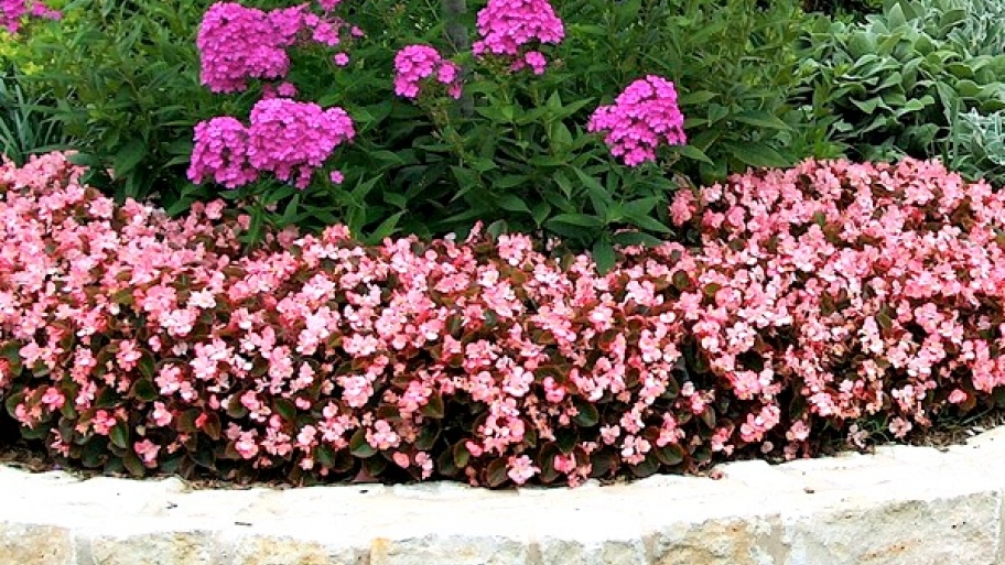 How To Landscape A Small Yard Or Patio Angie S List