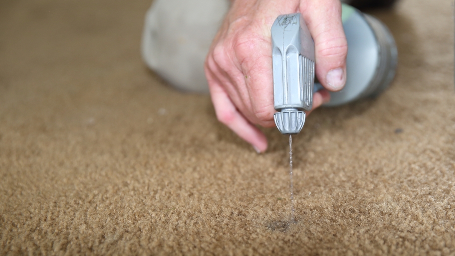 man spraying carpet dye onto carpet