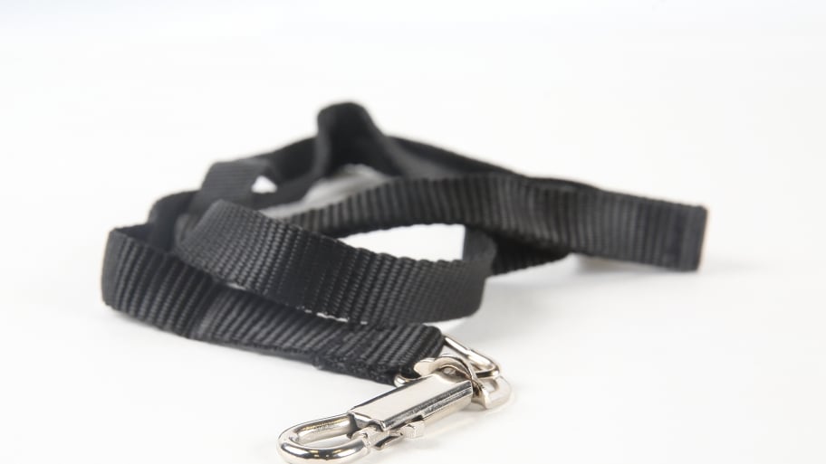 a dog leash