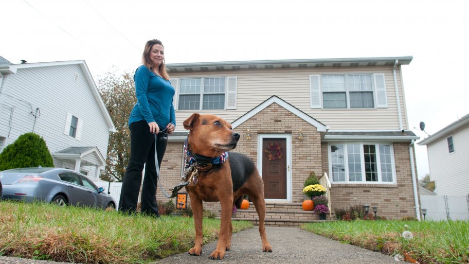 house dog sitter near me