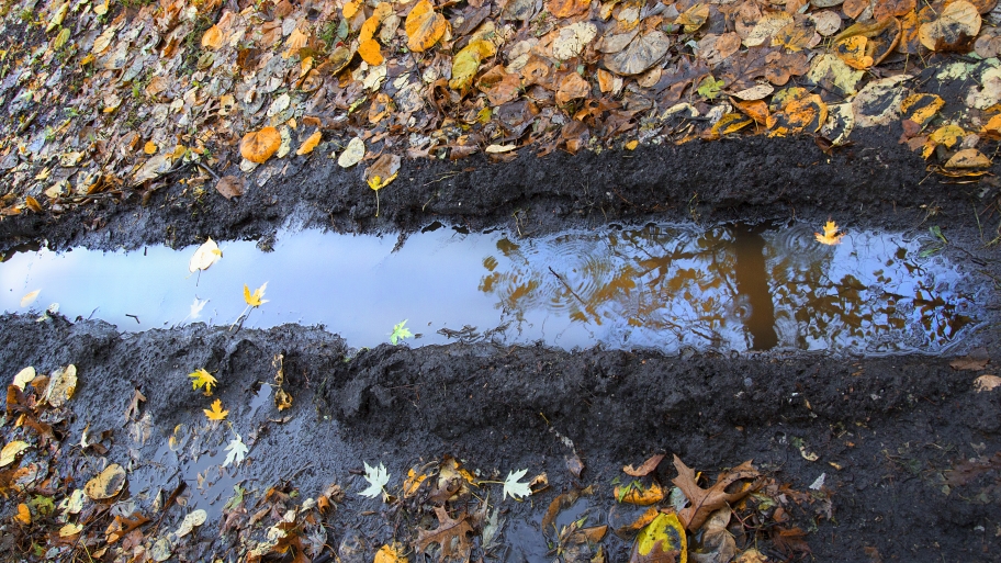 standing water puddle on lawn