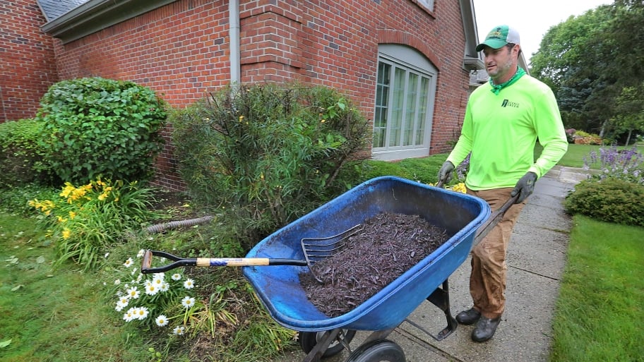Is Colored Or Dyed Mulch Bad For My Plants Angie S List Mulch Comes In A Variety Of Colors Which Can Making Choosing The Right One For Your Yard Difficult Photo By Frank Eh