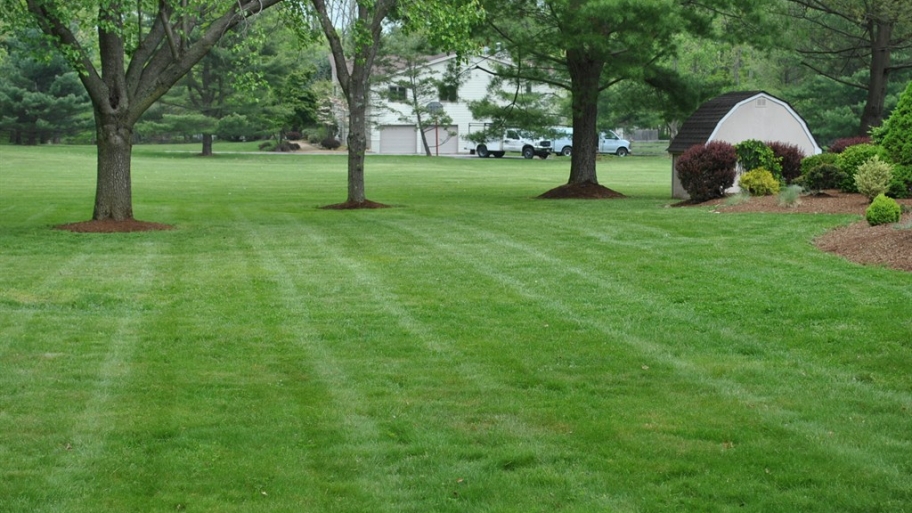 How To Fertilize Your Lawn Without Killing Gr Angie S List How To Fertilize Your Lawn Without Killing Gr Angie S List