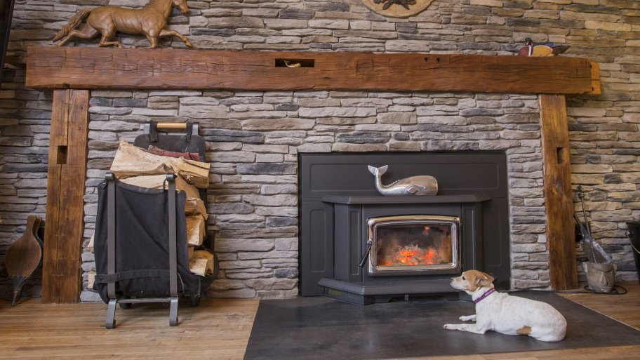 Create A Pet Paradise In Your Home Angie S List Dog In Front Of Fireplace