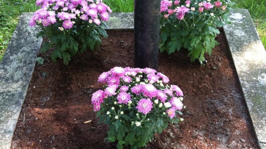 Fall Flowerbed Gardening Tips Angie S List After Planting Your New Flowers Mulch The Garden With Two To Three Inches Of Fresh Says Hudnall Photo Courtesy Angie S List Member Christina W