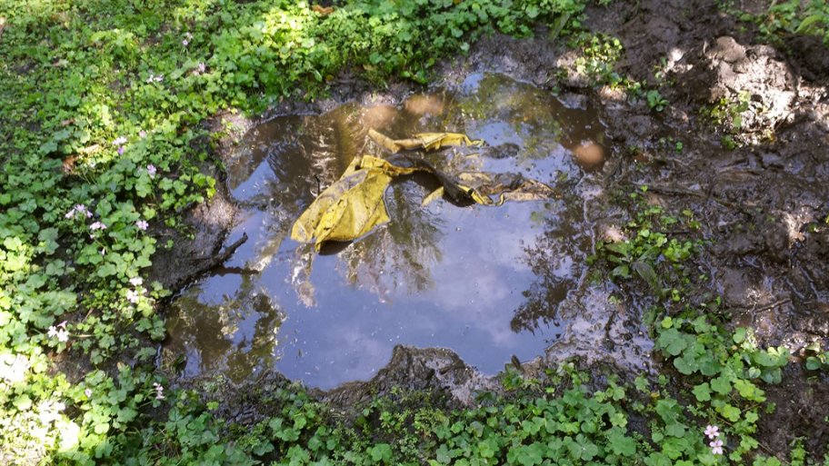 3 Tips to Save Money on Septic Tank Maintenance Angie's List