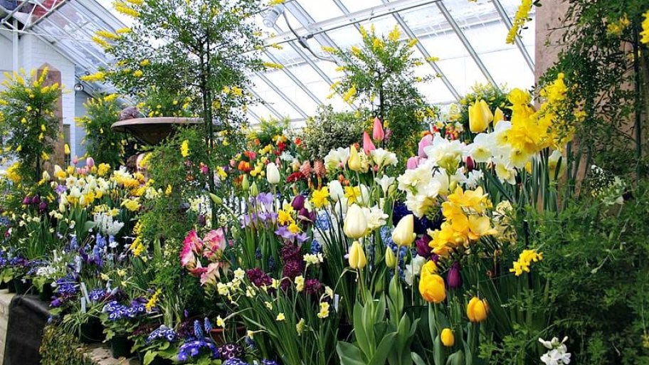 Growing Plants in a Greenhouse Angie's List