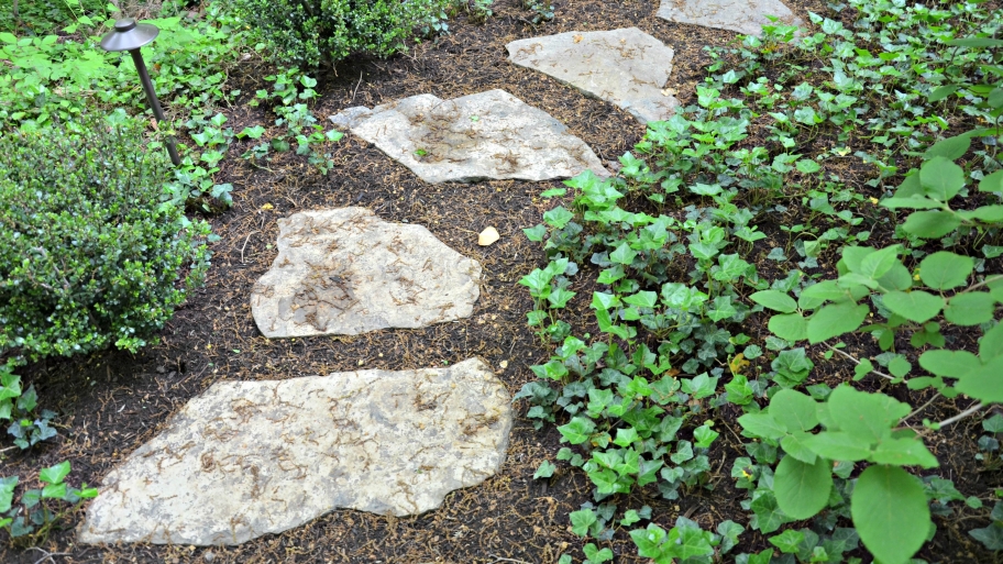 pavers and plant ground covering