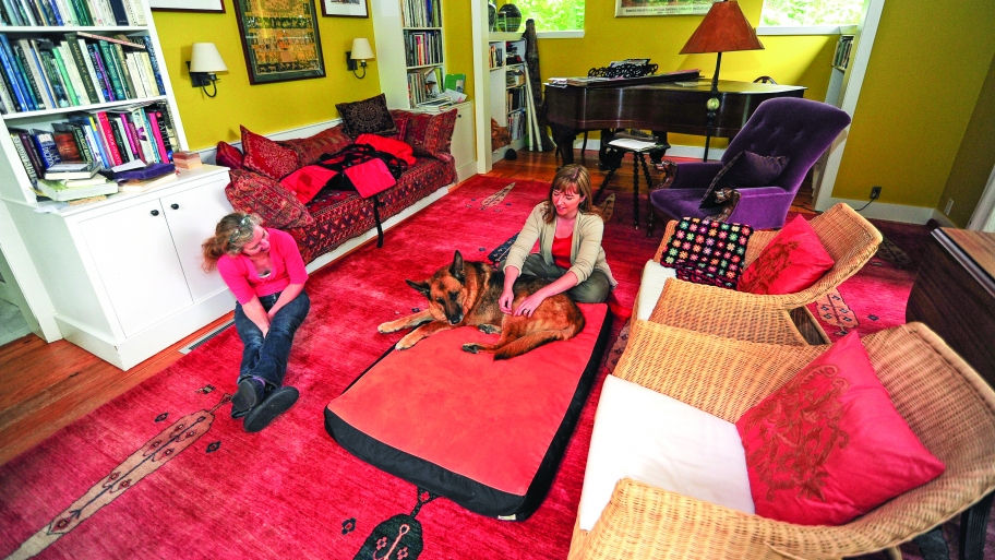 holistic dog care near me