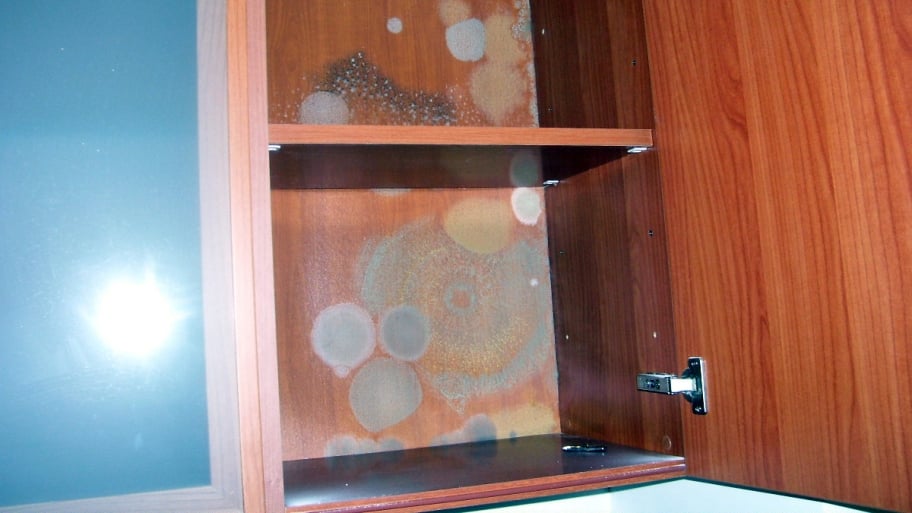 Can You Sell a House With Mold in It? Angie's List