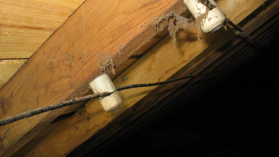 Mental Telephone Socket Wiring Please Help Quotes