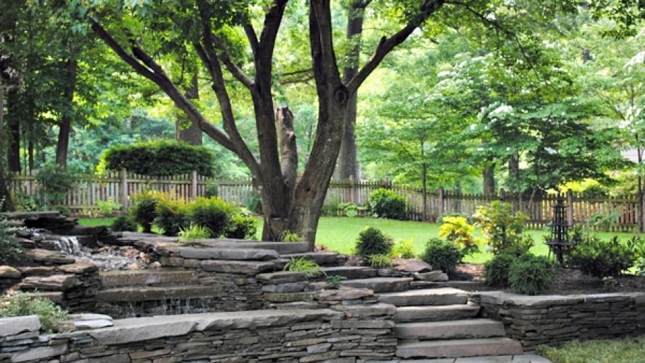 lush green landscaped lawn