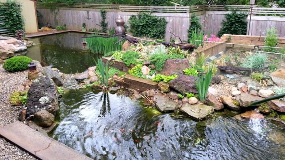 water feature in yard