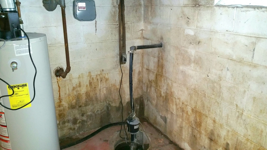 How Mold Can Impact The Value Of Your Home Angie S List How Mold Can Impact The Value Of Your Home