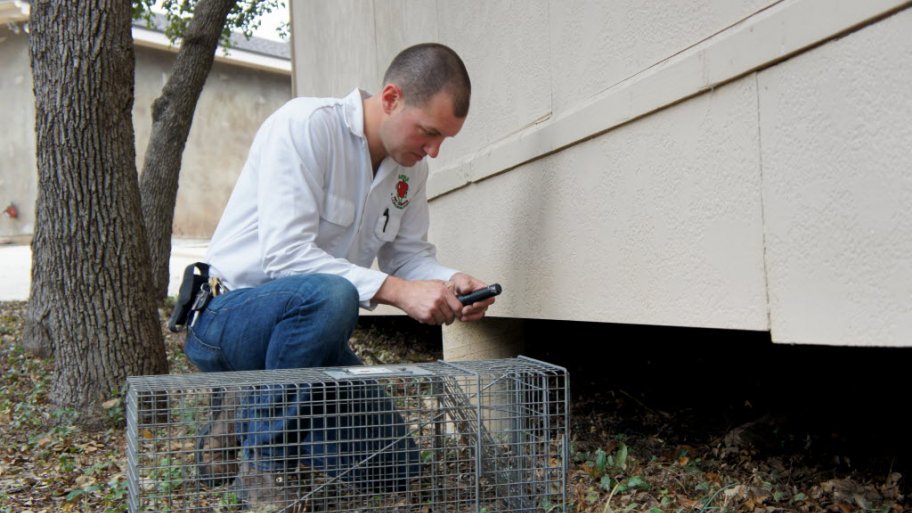 How to Hire a Reputable Pest Control Service Angie's List