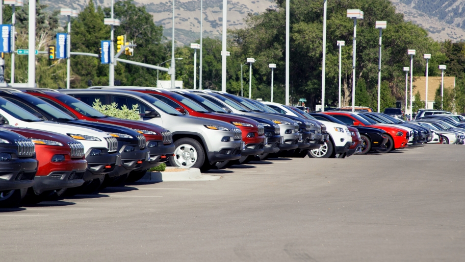 cars on a car lot