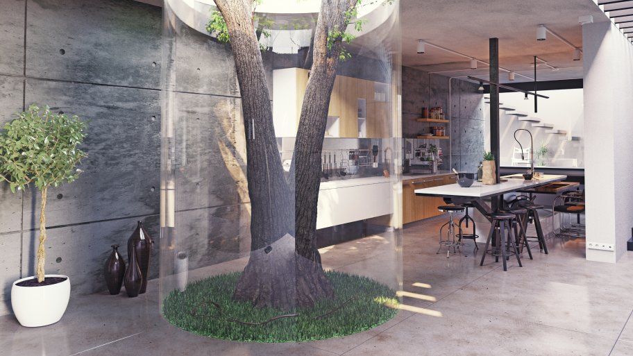 tree inside a house